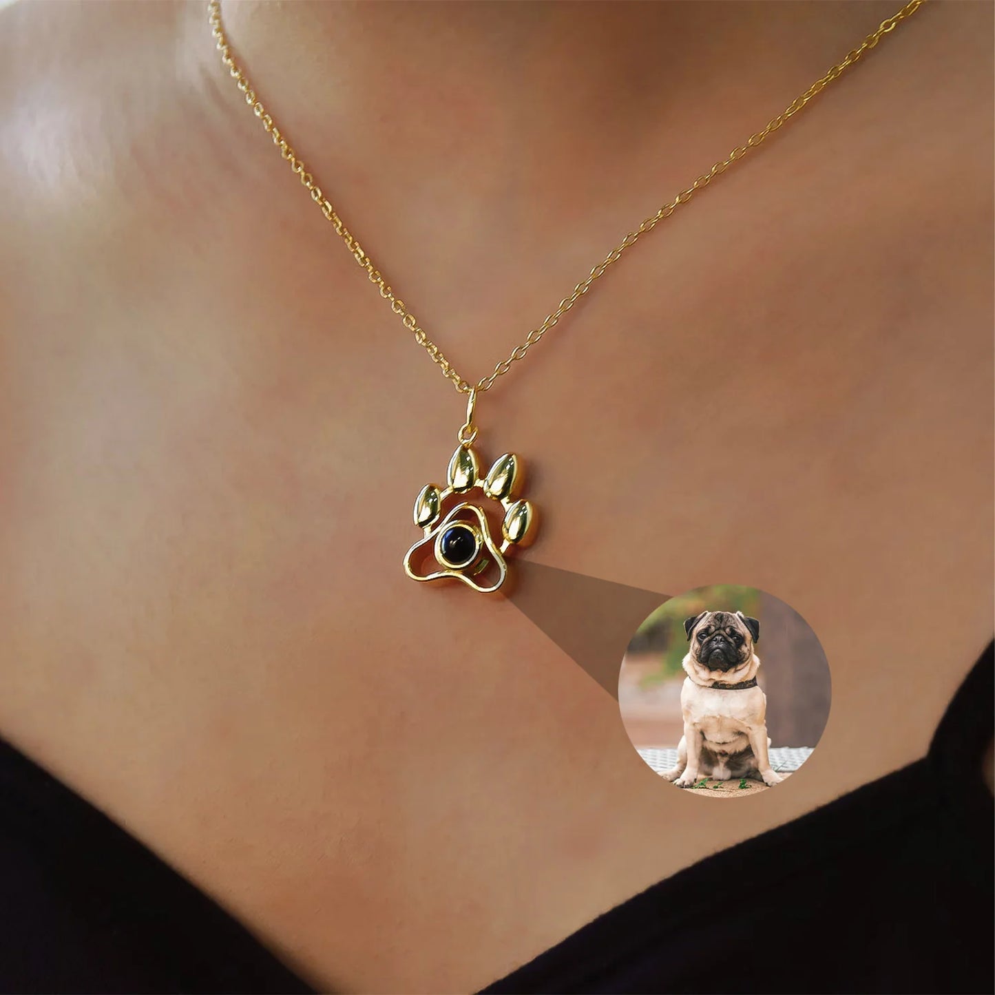 Collar Perrito con Foto Personalizada