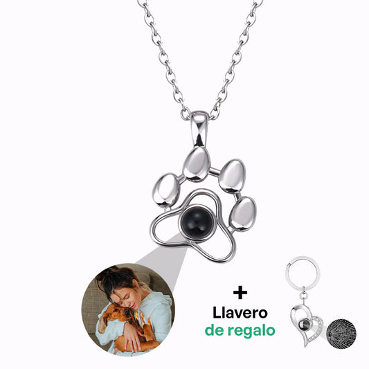 Collar Perrito con Foto Personalizada